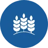 Agriculture and Farm Plantations