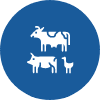LiveStock Management